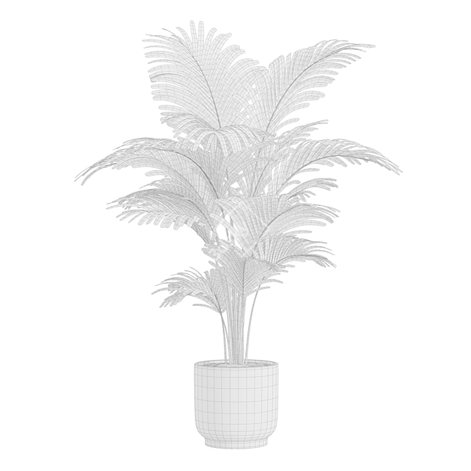 Golden Cane Palm Set 3D model image 7