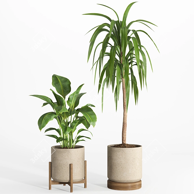 Modern Indoor Plant Set 029 3D model image 4