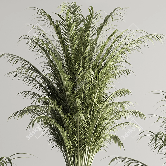 Botanical Greenery Collection 71 3D model image 5