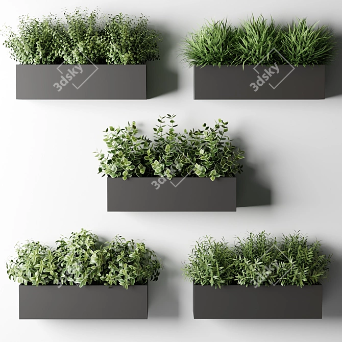 Kitchen Window Box Plants 3D model image 1