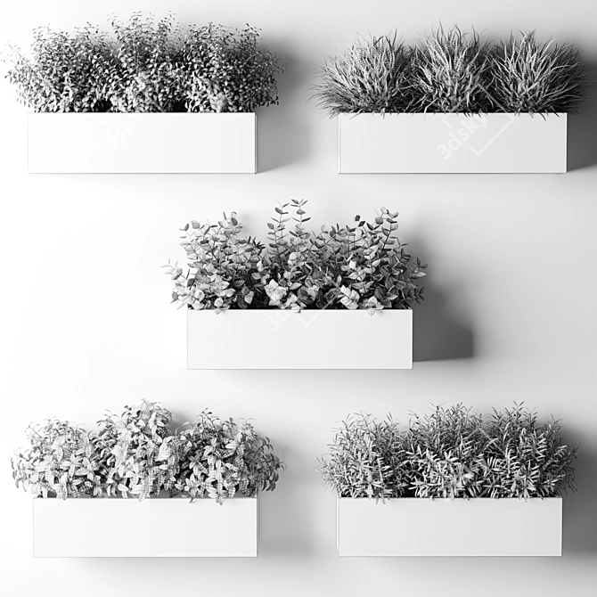 Kitchen Window Box Plants 3D model image 2