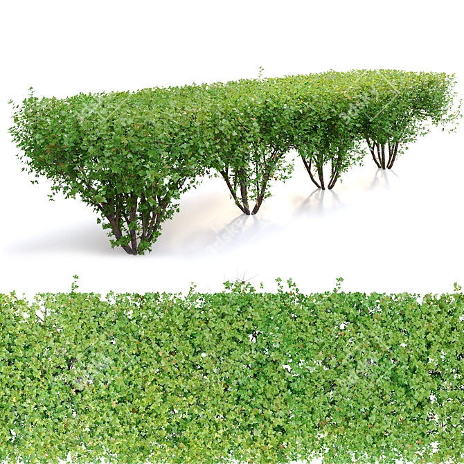 Rectangular Hedge Bush Set - 1.5m 3D model image 2