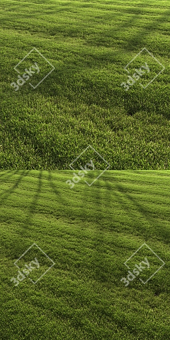 Landscaping Grass Patterns Bundle 3D model image 3