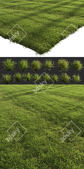 Landscaping Grass Patterns Bundle 3D model image 4