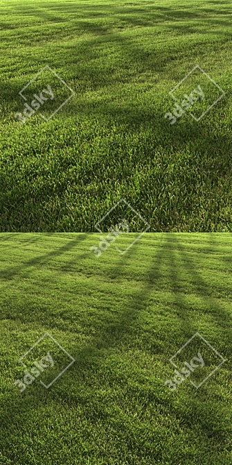 Landscaping Grass Patterns Bundle 3D model image 5