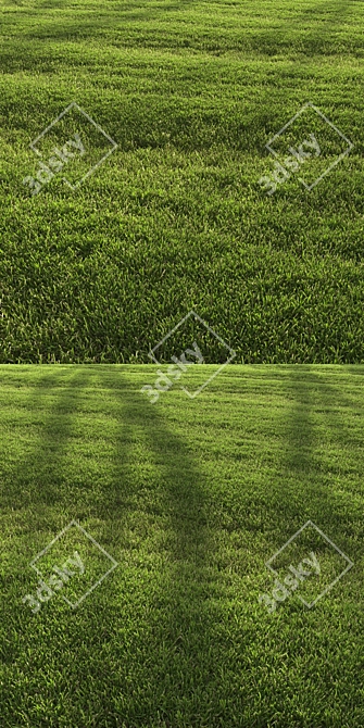 Landscaping Grass Patterns Bundle 3D model image 6