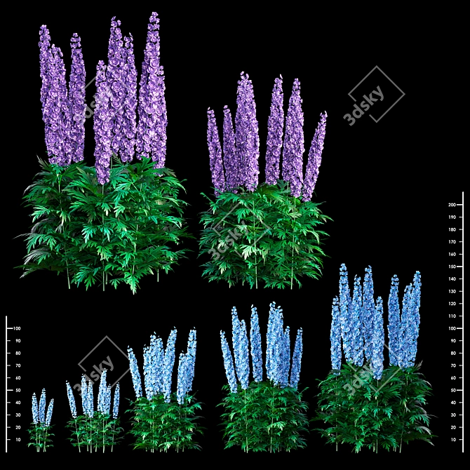  3D Delphinium Bush Models 3D model image 2