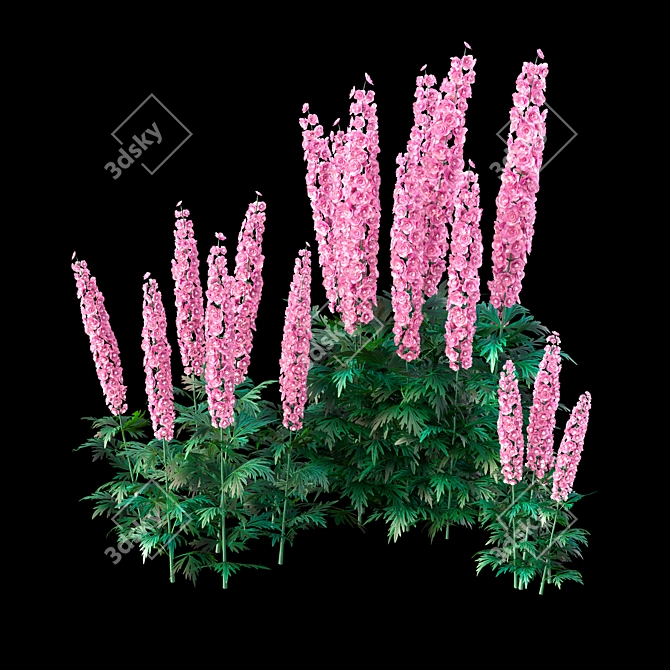  3D Delphinium Bush Models 3D model image 3