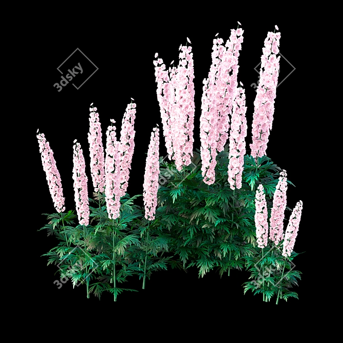  3D Delphinium Bush Models 3D model image 4