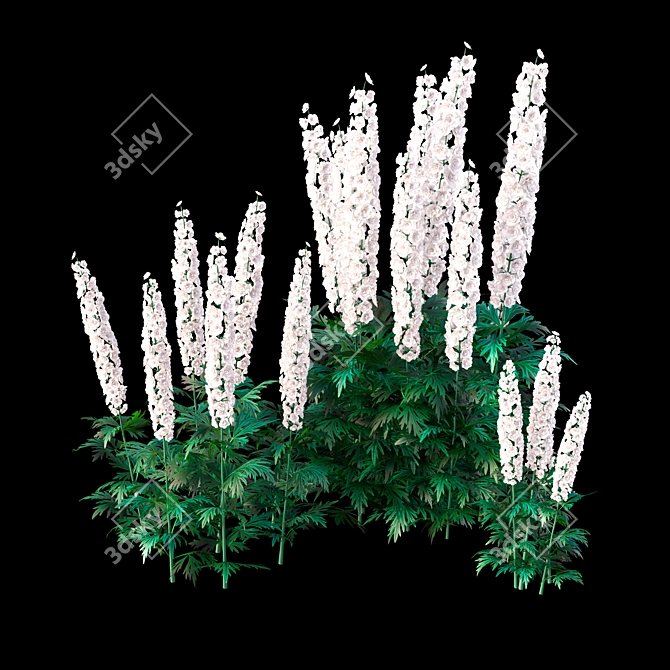  3D Delphinium Bush Models 3D model image 5