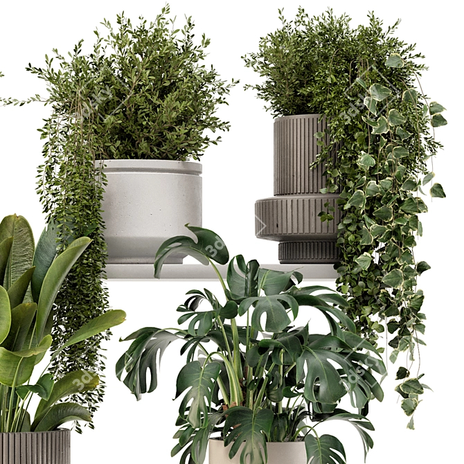 Rusty Concrete Pot Indoor Plants 3D model image 3