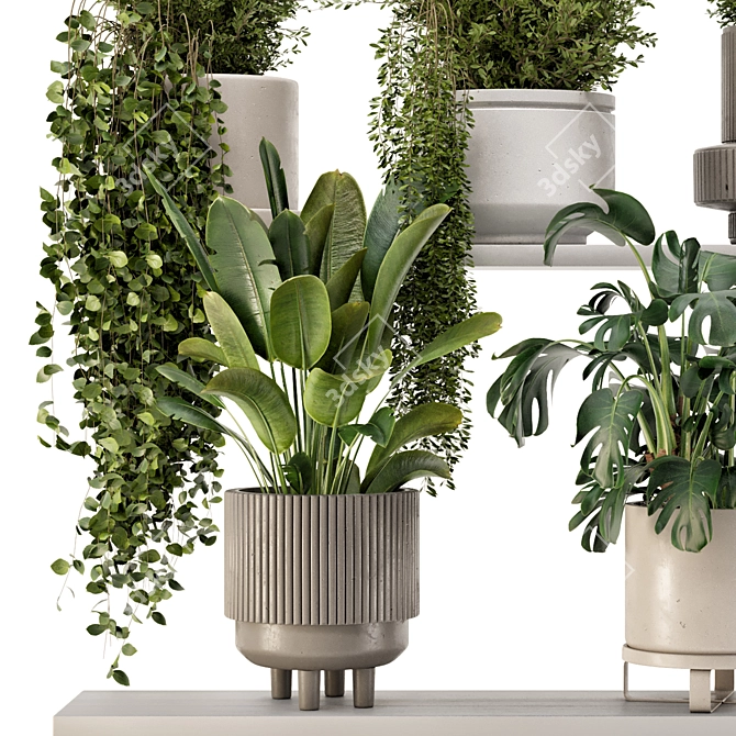 Rusty Concrete Pot Indoor Plants 3D model image 5