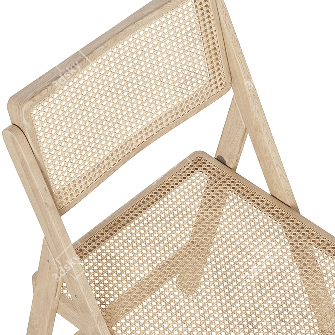 Foldable Rattan Chair 3D model image 2