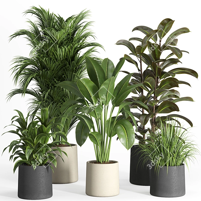 Modern Urban Indoor Plant Set 3D model image 1