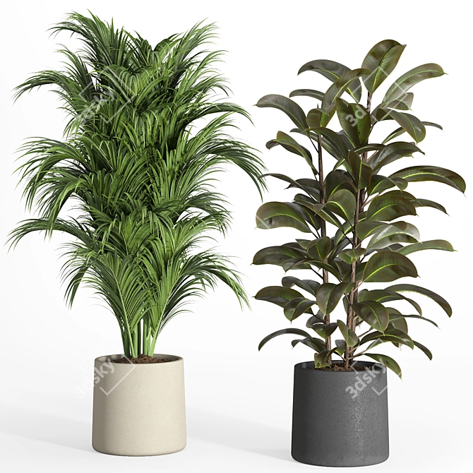 Modern Urban Indoor Plant Set 3D model image 2