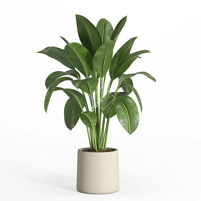 Modern Urban Indoor Plant Set 3D model image 3