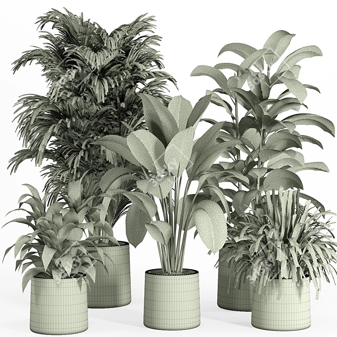 Modern Urban Indoor Plant Set 3D model image 4