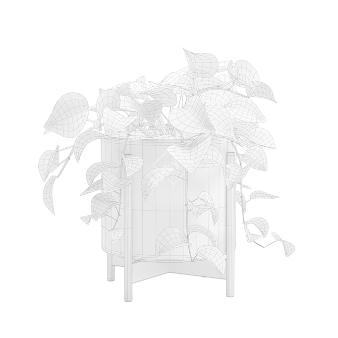 Silvery Pothos Plant Vines Render 3D model image 2