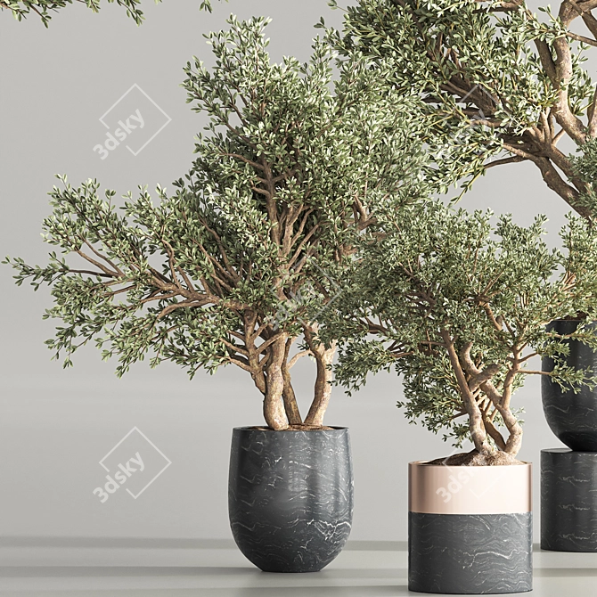 Botanical Paradise Indoor Plant Set 3D model image 4