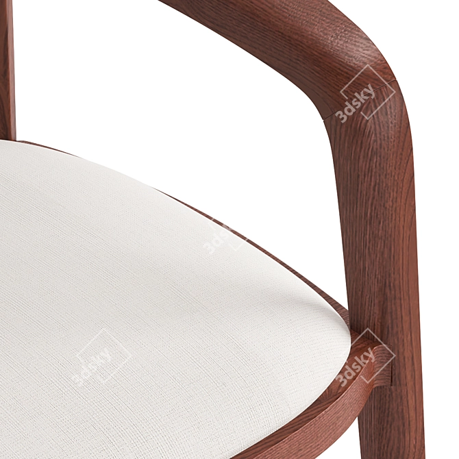 Modern Walnut Corvo Chair Design 3D model image 3