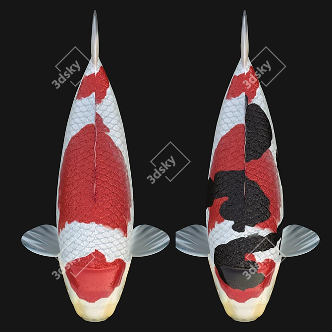 3DSmax Rigged Koi Fish 3D model image 2