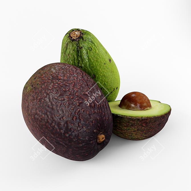 Avocado Duo Special Mix 3D model image 3