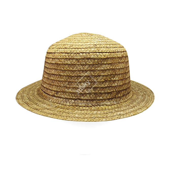 Straw Hat 3D model image 3