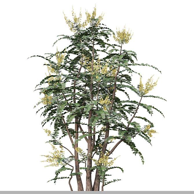 Mahonia Media Plant Pair-Enlivens Gardens 3D model image 3