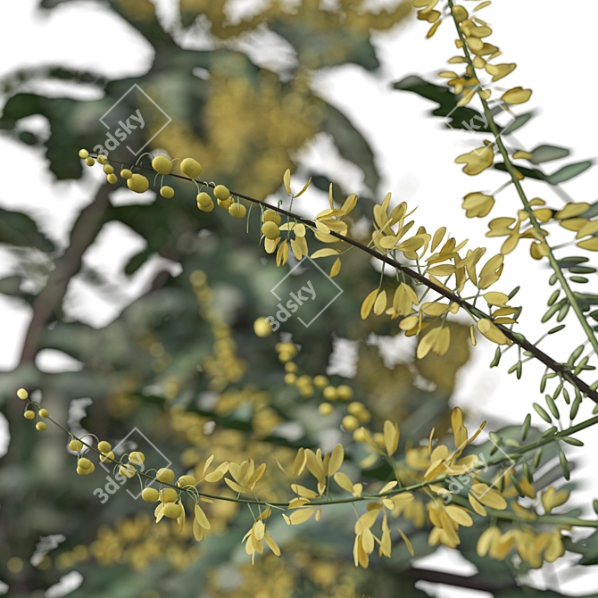 Mahonia Media Plant Pair-Enlivens Gardens 3D model image 4