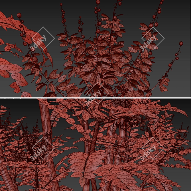 Mahonia Media Plant Pair-Enlivens Gardens 3D model image 6