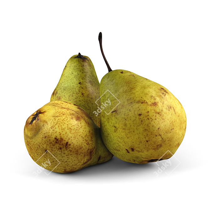 Fresh Russian Pears Juicy Sweet 3D model image 1