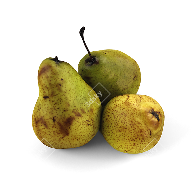 Fresh Russian Pears Juicy Sweet 3D model image 2