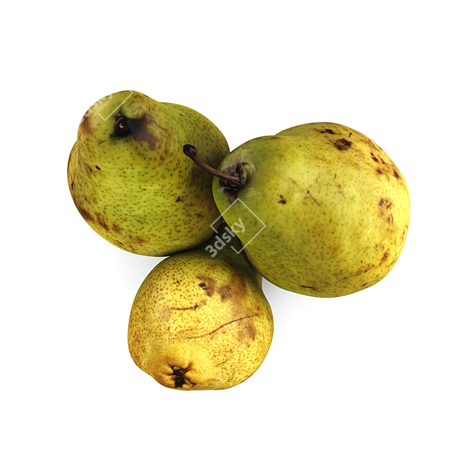 Fresh Russian Pears Juicy Sweet 3D model image 3