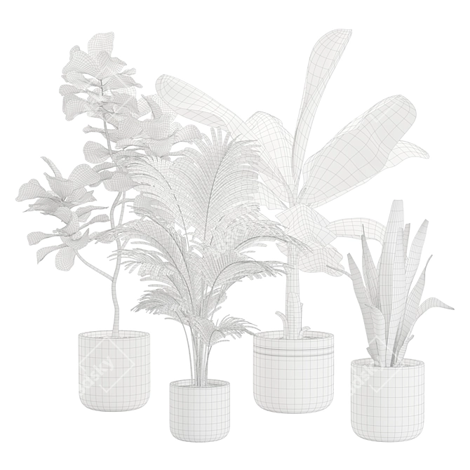 Exotic Indoor Plant Variety Pack 3D model image 3