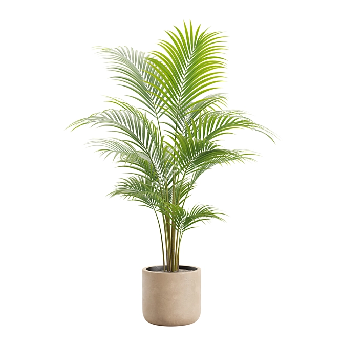 Exotic Indoor Plant Variety Pack 3D model image 6