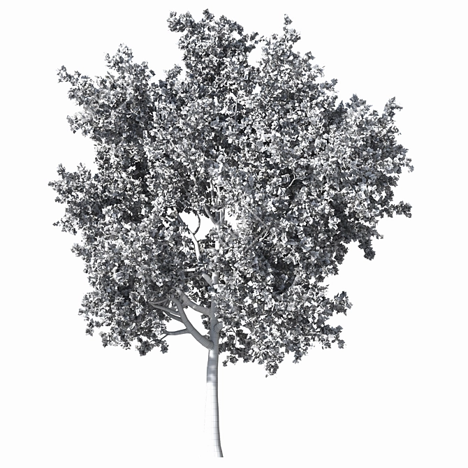  Detailed Speed Tree Vray Corona 3D model image 3