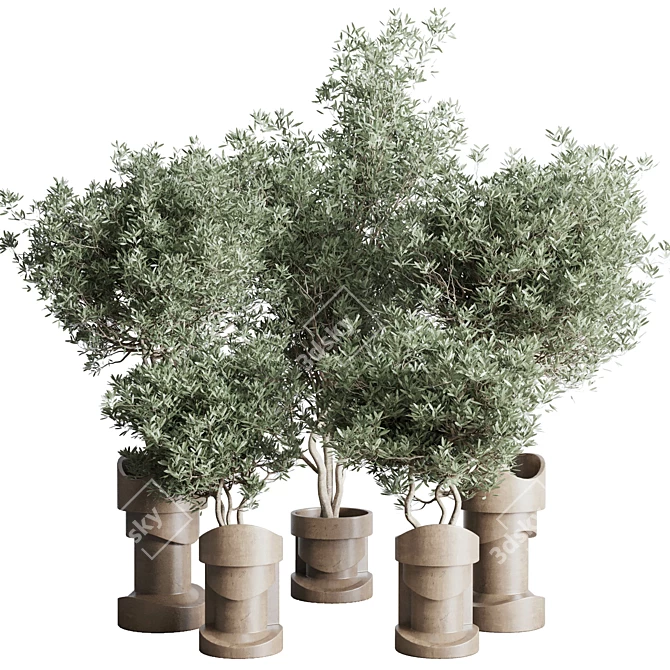  Concrete Vase Indoor Plant Collection 3D model image 1