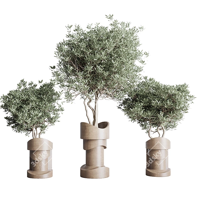  Concrete Vase Indoor Plant Collection 3D model image 3