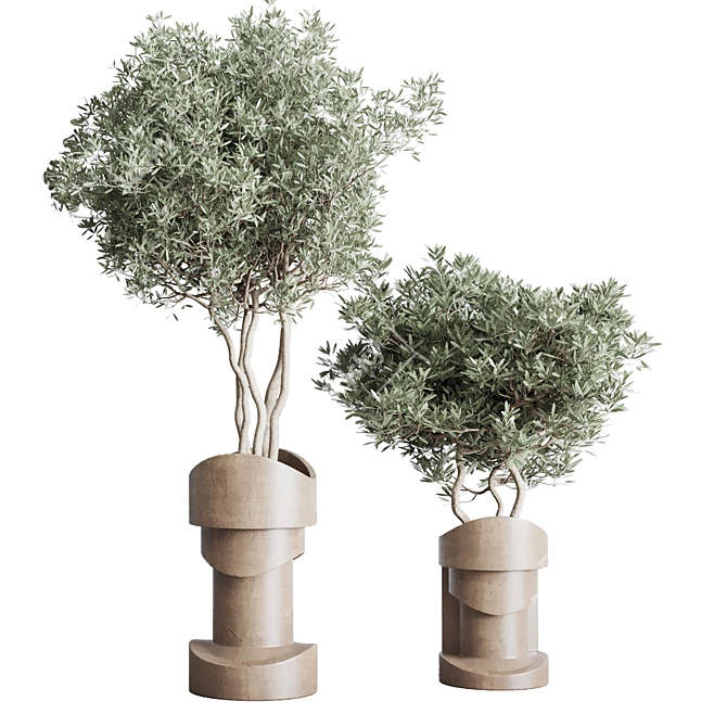  Concrete Vase Indoor Plant Collection 3D model image 4