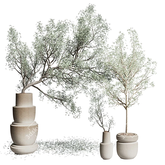 Vintage Olive Tree in Earthenware Vase 3D model image 1