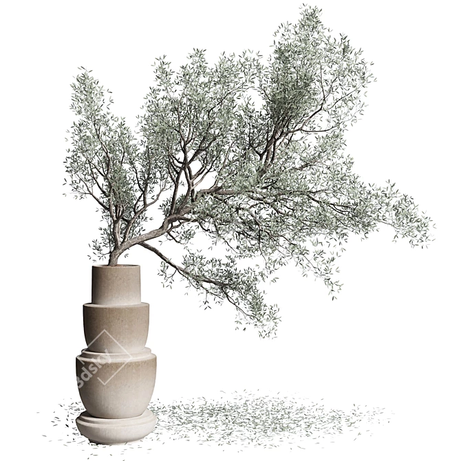 Vintage Olive Tree in Earthenware Vase 3D model image 2