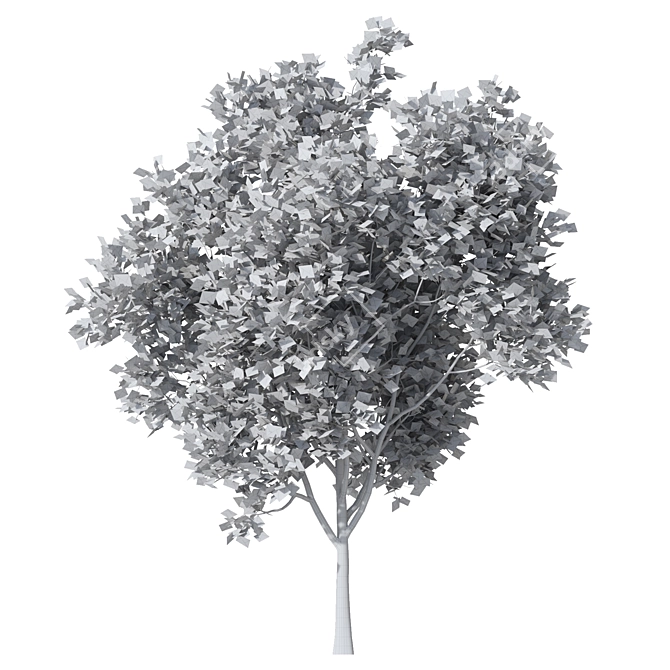 Autumn Acer HD Tree Model 3D model image 3