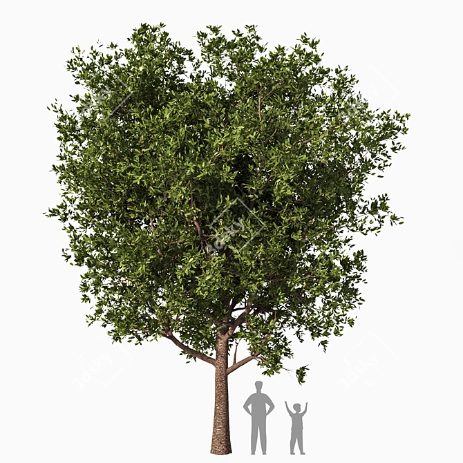 High Detail 3D Tree Model 3D model image 1