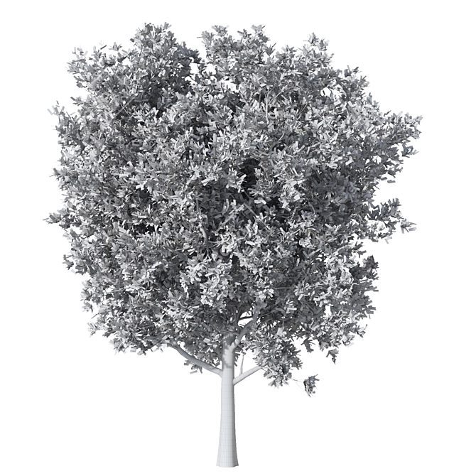 High Detail 3D Tree Model 3D model image 3