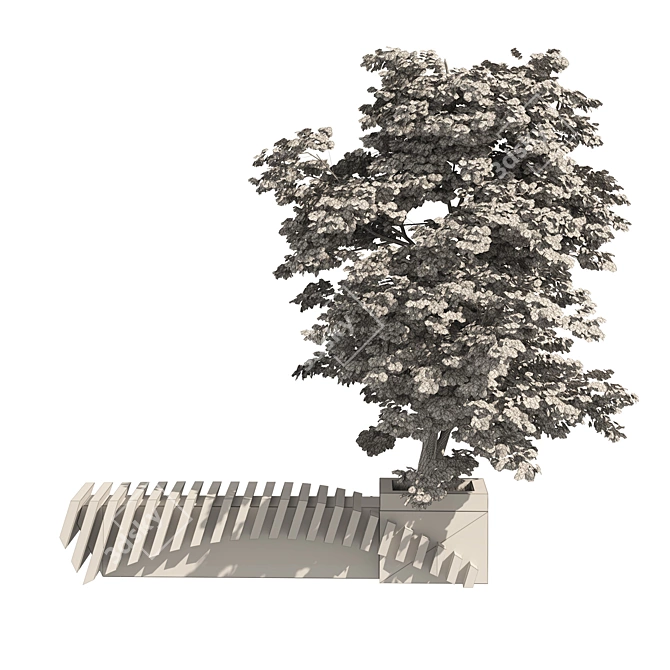 3D Model Bench Kousa Tree 3D model image 6