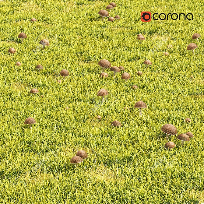 Grass & Mushroom Lawn 3D Model 3D model image 4