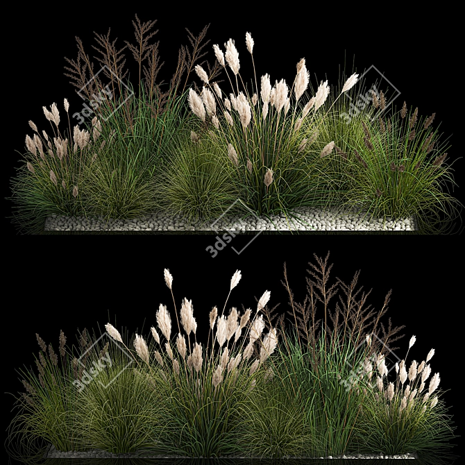 Assorted Ornamental Grass Collection 3D model image 1