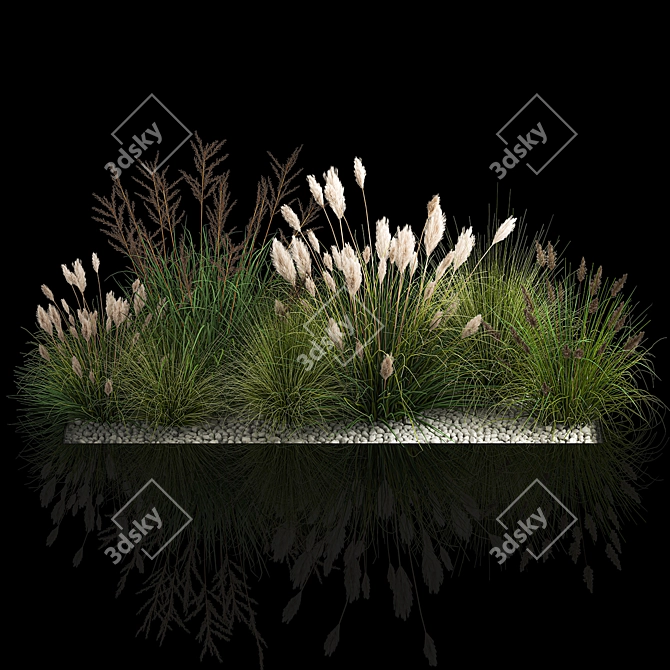 Assorted Ornamental Grass Collection 3D model image 2