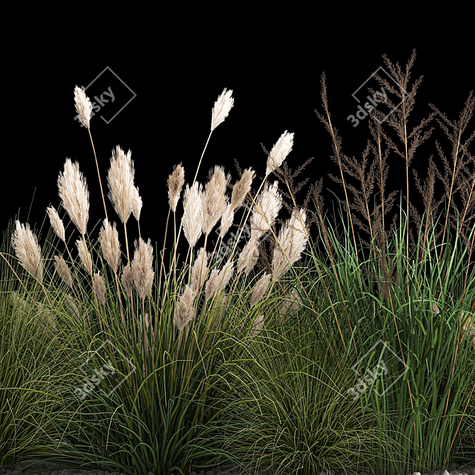 Assorted Ornamental Grass Collection 3D model image 3