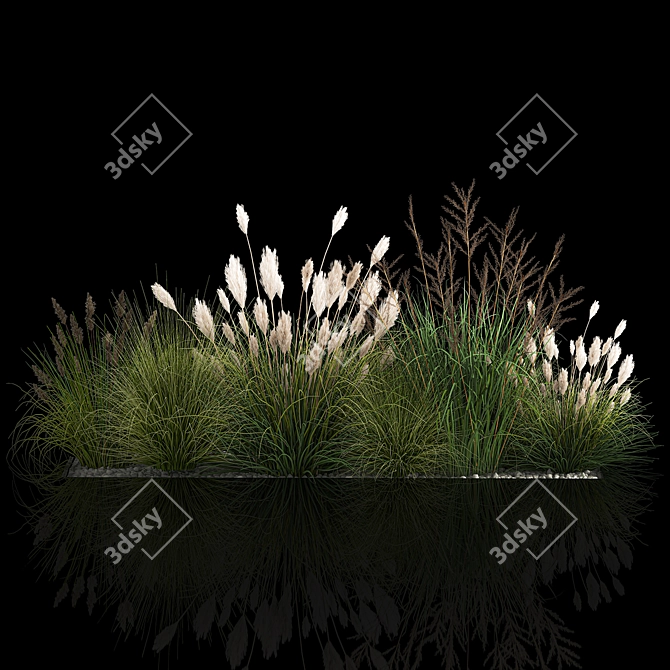 Assorted Ornamental Grass Collection 3D model image 4